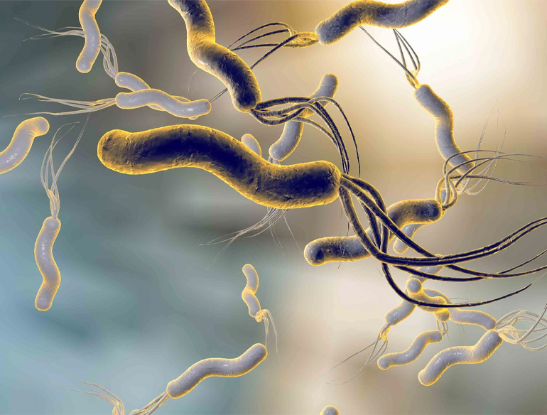 Barber Salon  Bootstrap 4 Template